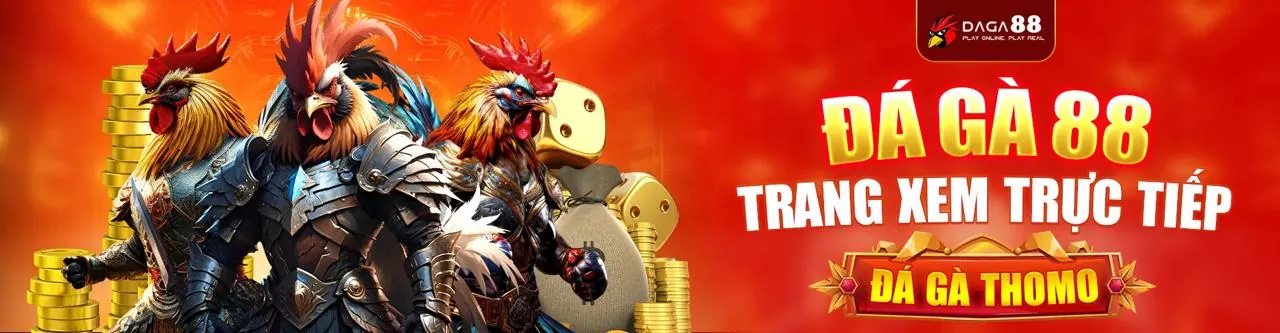 Biện pháp bảo vệ mạng và kiểm soát truy cập tại 88king