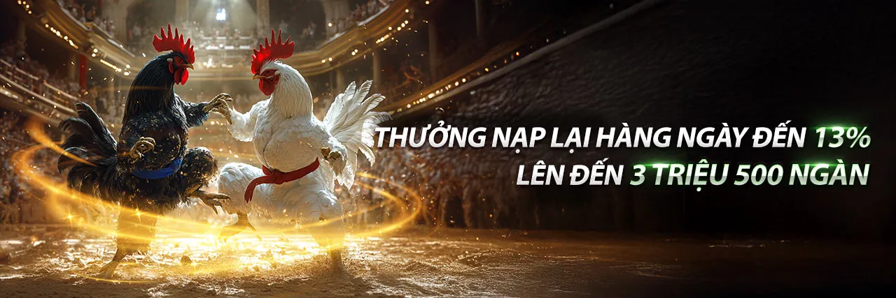 Sân vận động với trận đấu bóng đá đang diễn ra, ánh đèn rực rỡ, biểu tượng cho cá cược thể thao sôi động tại 88king trang chủ chính thức